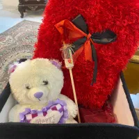 عروسک خرسی|اسباب‌بازی بچه|شاهین‌شهر, شهرک میلاد|دیوار