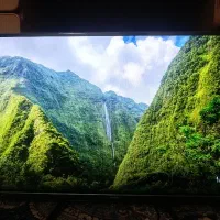 تلویزیون ایوولی