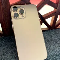 13 pro max