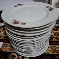 بشقاب گل سرخی خارجی