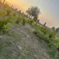زمین باغی