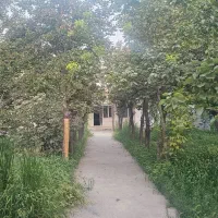 استخدام  کارشناس مددکاری اجتماعی