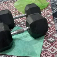 دمبل۲۵کیلویی