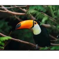 تلویزیون ۵۸ اینچ جی پلاس مدل 58RU734N