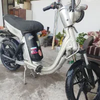 اسکوتر دندی