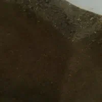 کود میلورم|گل و گیاه طبیعی|رویان, |دیوار