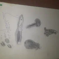 طراحی در کاغذ