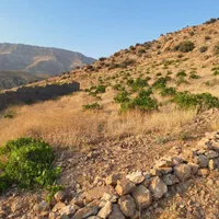 فروش زمین ۳۰۰متری تفکیک شده مناسب کارگاه و انبار|فروش زمین و ملک کلنگی|شیراز, سعدیه شمالی|دیوار