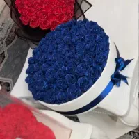 باکس شیک