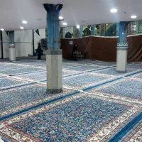 فروش قالی نو|فرش|زرند, |دیوار