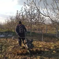 شخم باغ ، زدن علف،هرس