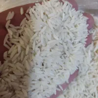 برنج علی کاظمی درجه ۱به شرط