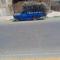 خریدانواع چوب درخت