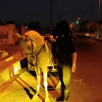 نریان کورد 9 ساله کره اژدر حاج کرم