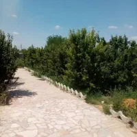 باغ زمین ویلایی