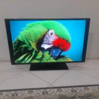 ال ای دی ۵۱سامسونگ کره ای سفارشی پشت حک شده ۳بعدی