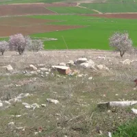 زمین-کشاورزی