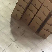 نیروی خانم و اقا