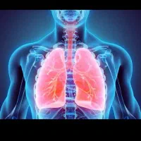 بهبود و پاک سازی ریه