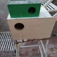 لانه