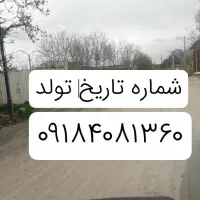 شماره متولدن ۱۳۶۰ رند رند بدون زنگخور