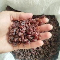 فروش کشمش آفتابی