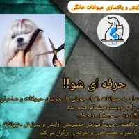 آموزش پیرایش و پاک‌سازی حیوانات خانگی|خدمات آموزشی|اصفهان, بهارستان|دیوار