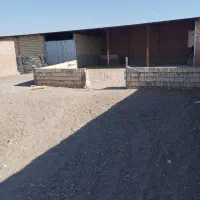 فروش پرواربندی|فروش دفتر صنعتی، کشاورزی، تجاری|رفسنجان, |دیوار