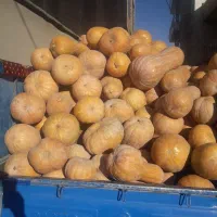 کوله که محلی درجه یک|خوردنی و آشامیدنی|بانه, |دیوار