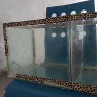 آکواریوم ماهی
