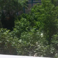 اجاره یک اتاق در دفتر وکالت وکیل