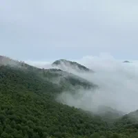 خط تلفن ثابت ولنجک