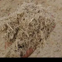 آذوقه احشام کا کاه|خدمات باغبانی و درختکاری|سیریک, |دیوار