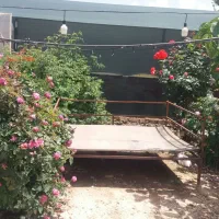 واگذاری کافه باغ