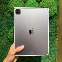 Ipad pro 2022 +pen|تبلت|کرمان, |دیوار