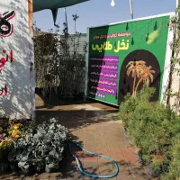 موسسه تولید به مصرف(گل)