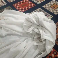 دوتا پنل