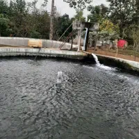 فروش ملک استخر ماهی|فروش دفتر صنعتی، کشاورزی، تجاری|تالش, هشتپر|دیوار