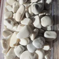 سنگ بدون رگه و بدون اهک|خدمات باغبانی و درختکاری|تبریز, |دیوار