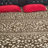 سوییت اجاره ای|اجارهٔ کوتاه‌مدت آپارتمان و سوئیت|جوانرود, |دیوار