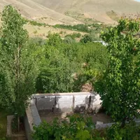 باغ گزنه|فروش زمین و ملک کلنگی|سنندج, |دیوار