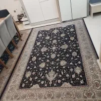 فروش فوری فرش 12 متری|فرش|امیرکلا, |دیوار