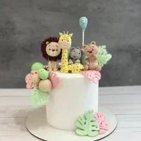 سفارش انواع تاپر کیک و ماکت کیک