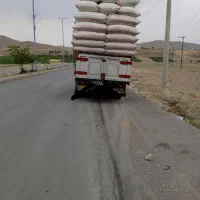 کاه گندم کاه نخود نرم بدون خاک