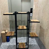 رگال