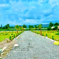 فروش زمین شهرکی / پلاک 1 جنگل / با سندتک برگ