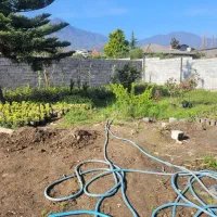 زمینی به مساحت 350 متر اوشیان|فروش زمین و ملک کلنگی|چابکسر, |دیوار