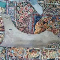 گلگیر جلو ۲۰۶|قطعات یدکی و لوازم جانبی|پرند, فاز ۵|دیوار