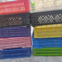 سبد