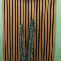 مغازه ۱۷ متری